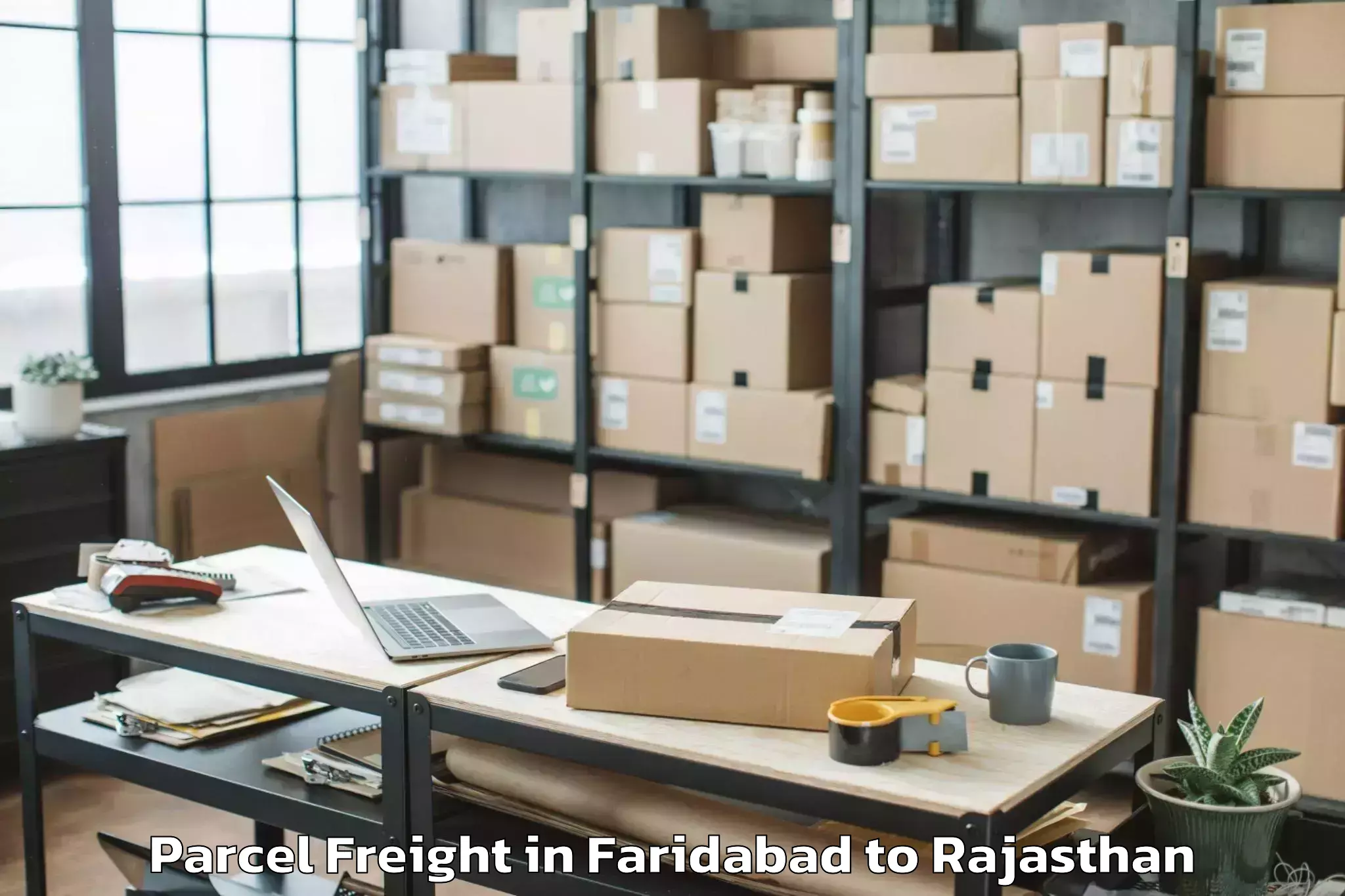 Top Faridabad to Raipur Pali Parcel Freight Available